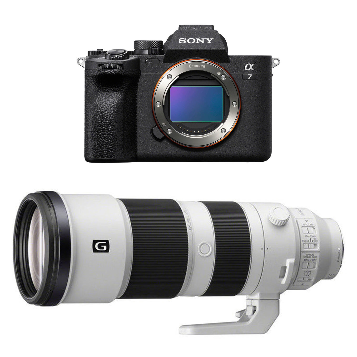Sony A7 IV + FE 200-600mm f/5.6-6.3 G Systemkamera